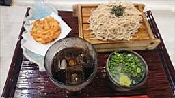 2023-06-11 11.40.08.JPG